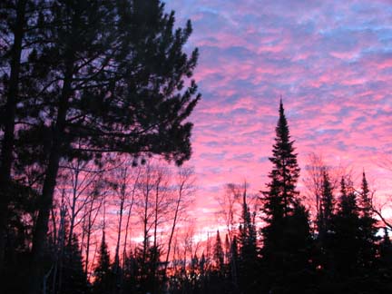 Yard winter sunrise